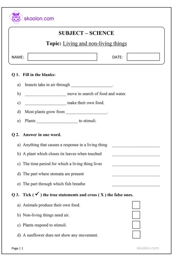 Living and Non Living Things Worksheet for Class 3