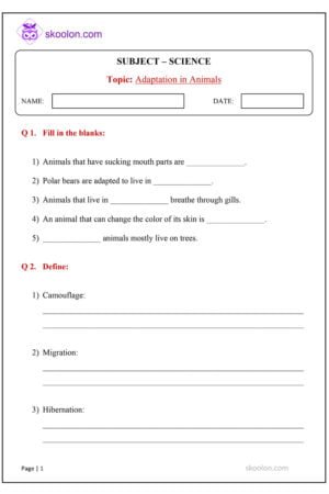 ICSE Science - Adaptation in Animals worksheet for class 4
