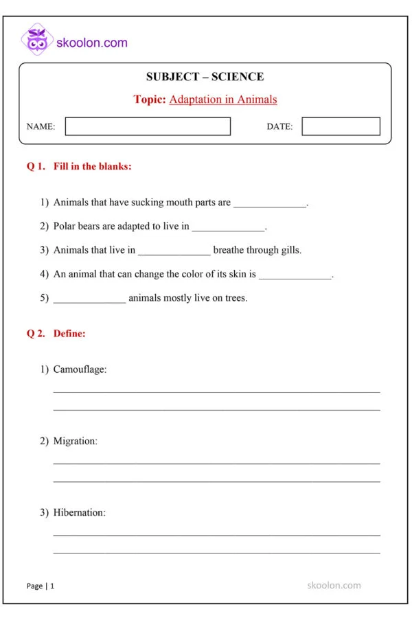 ICSE Science - Adaptation in Animals worksheet for class 4