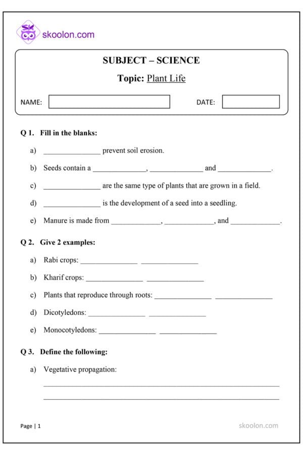 Plant Life Worksheet for Class 4