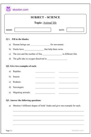 Science Animal Life Worksheet for Class 5