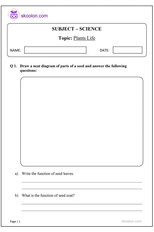 Plant Life Worksheet for Class 5