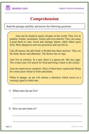 English-Comprehension