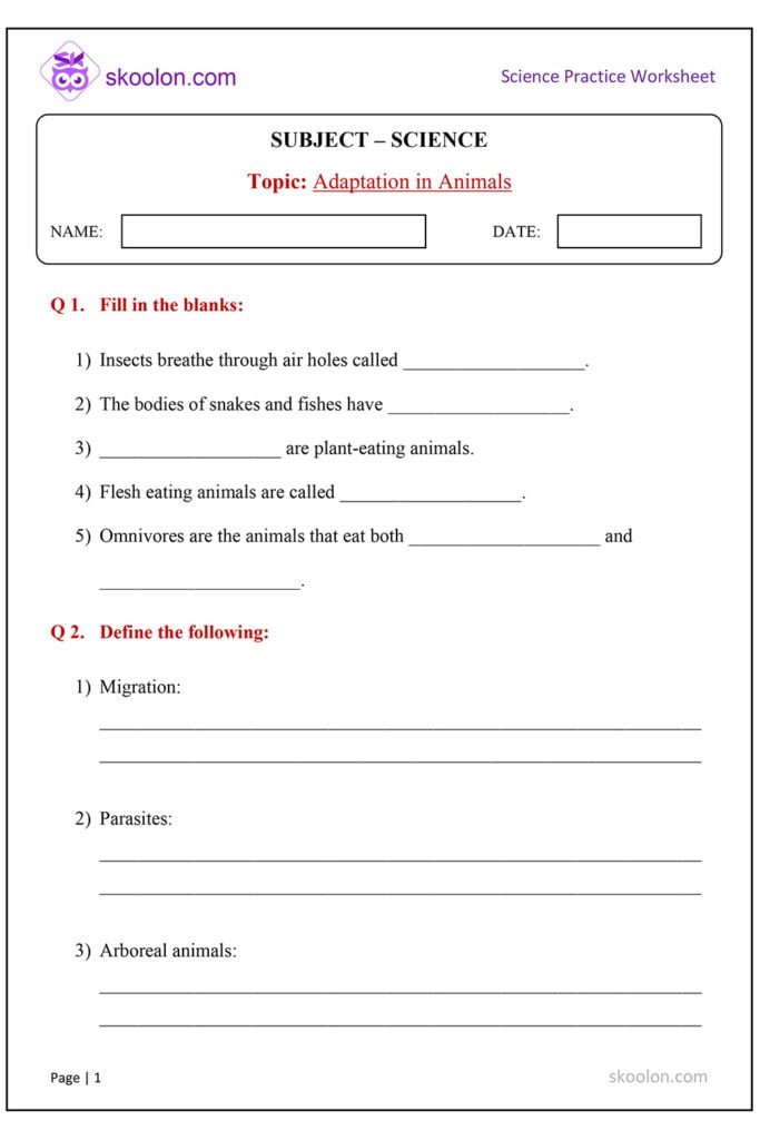 Adaptation in Animals skoolon com Adaptation in Animals skoolon com