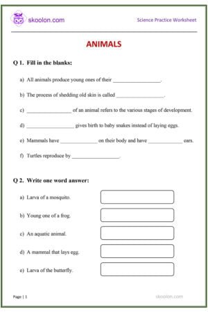 G4-Science-Animals