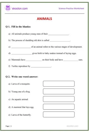 G4-Science-Animals