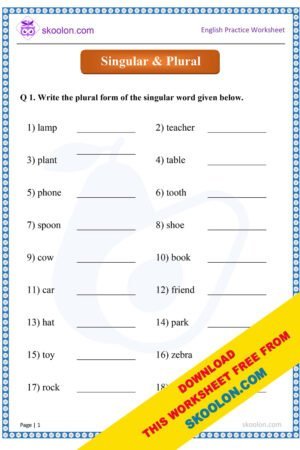 English Grammar Singular Plural Worksheet for Class 1