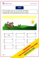 Sangya in Hindi Worksheets with Answers-13 - skoolon.com