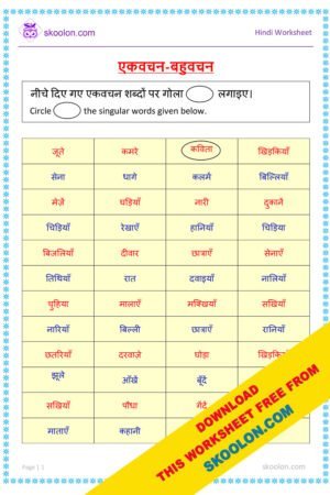 Hindi Grammar Ekavachan Bahuvachan Worksheet