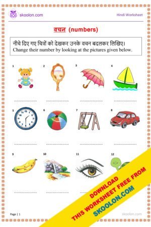 Hindi Vachan Worksheet with answers