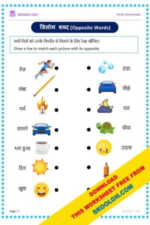 Vilom Shabd in Hindi Worksheet for KG and Class 1