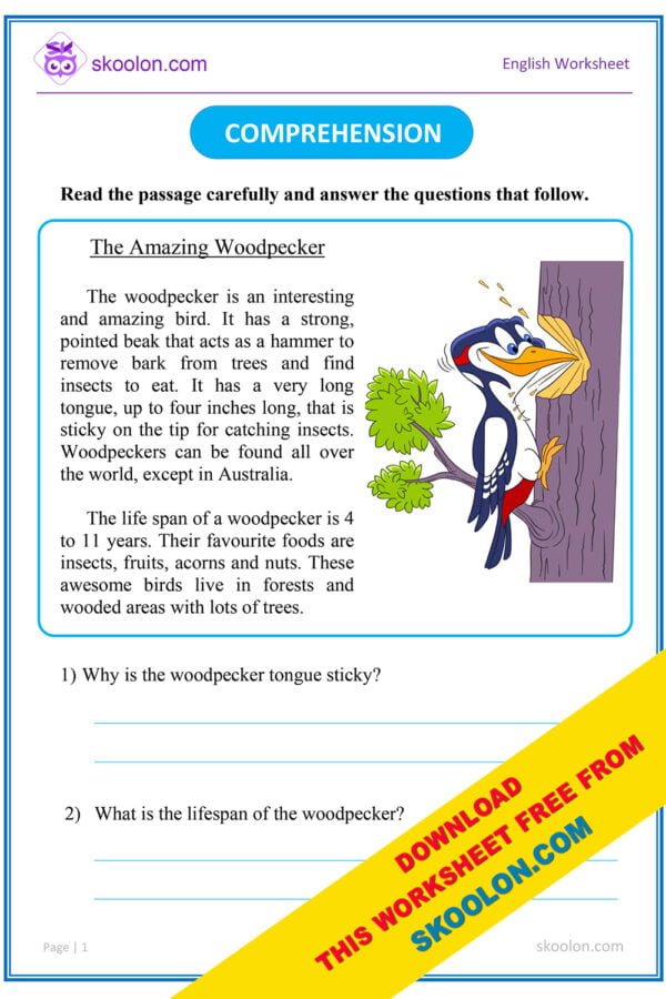 Reading Comprehension Worksheet || English Comprehension