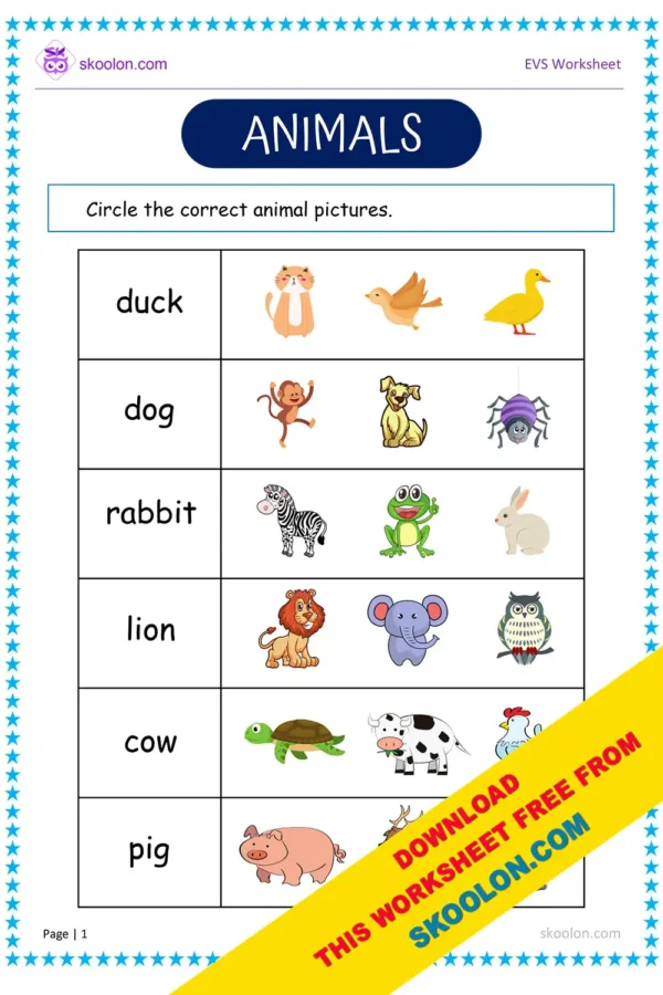 Animals Worksheet for Kindergarten