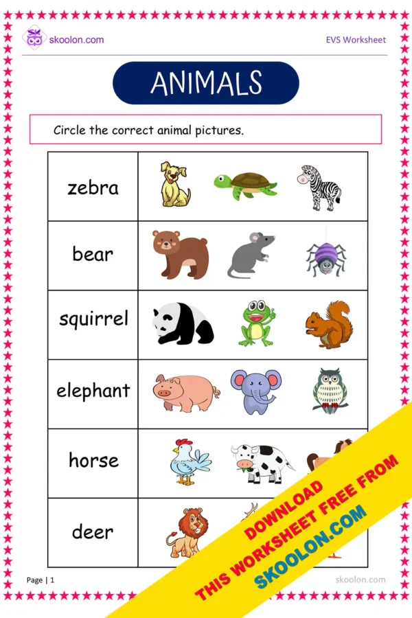 Animals Worksheet for Kindergarten