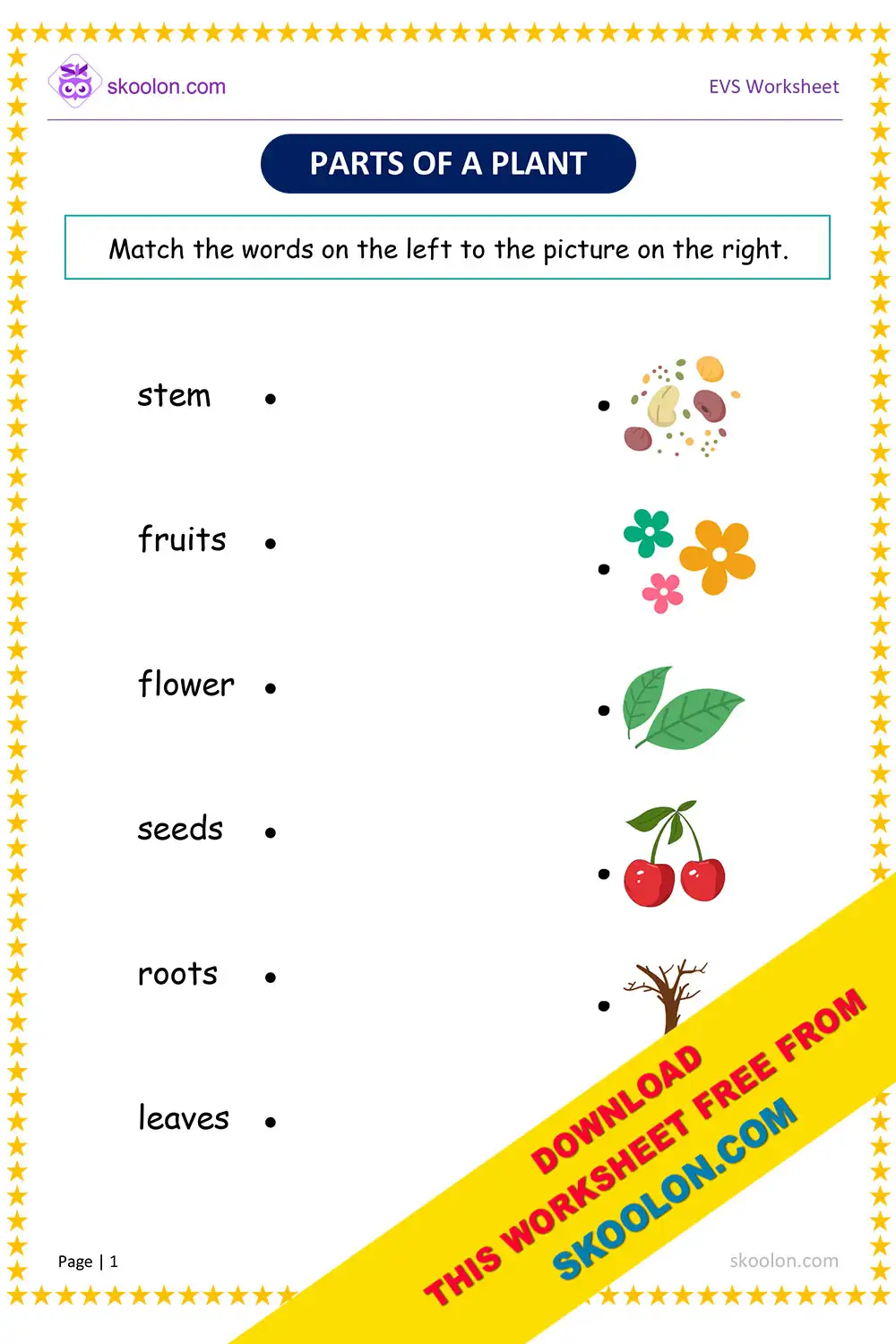 Parts Of Plants Worksheet Skoolon