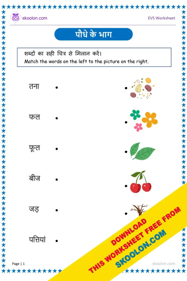 Hindi Worksheet - Parts of Plants