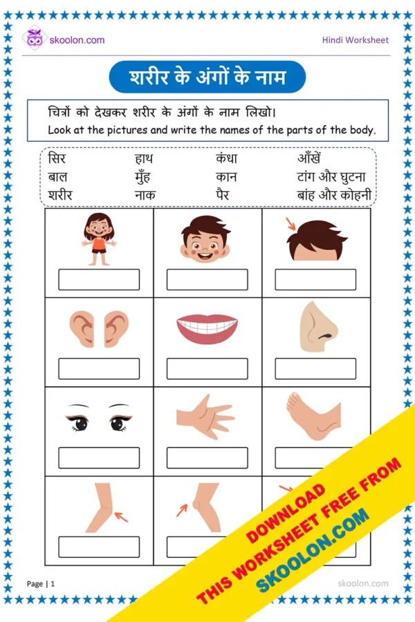 Body parts name in Hindi | Parts of body in Hindi