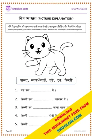 Picture Explanation in Hindi Worksheet | Chitra Vyakhya Worksheet | Cat Worksheet