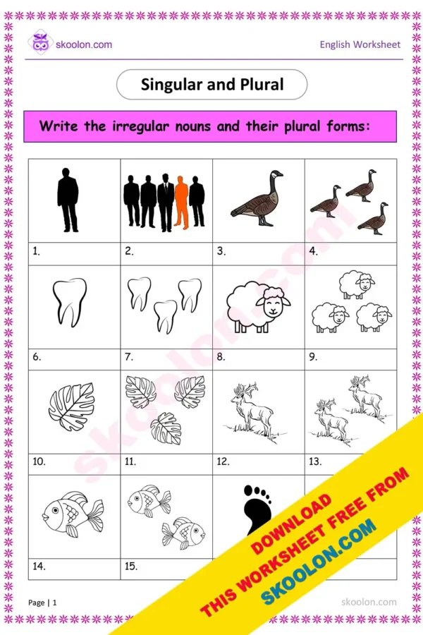 Singular Plural Worksheet || Singular and Plural Worksheet || Grammar Worksheet || Irregular Nouns