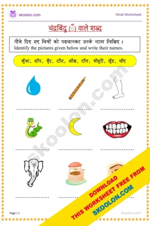 Chandrabindu Wale Shabd || Chandrabindu Ki Matra Wale Shabd || Hindi worksheet for class 1