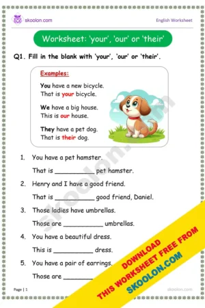 english grammar for kids || your our their worksheet for KG